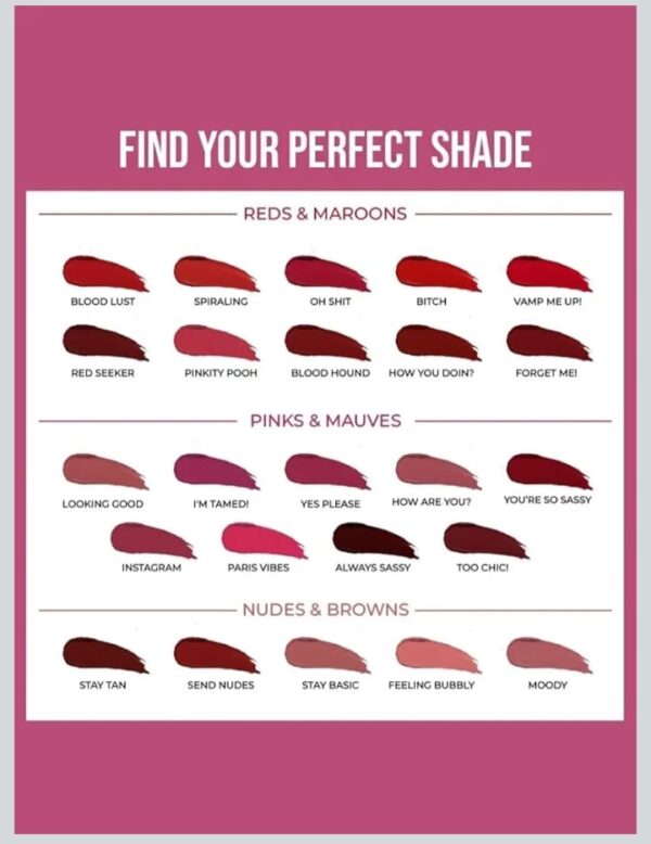 24 Hrs Non Transfer Matte Lipstick